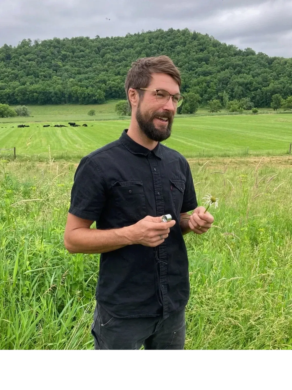 Thorin Gustafson standing in tall pasture grass holding a pale coneflower and a hand lens, with a mown hayfield, grazing black cattle, and a wooded bluff behind him.