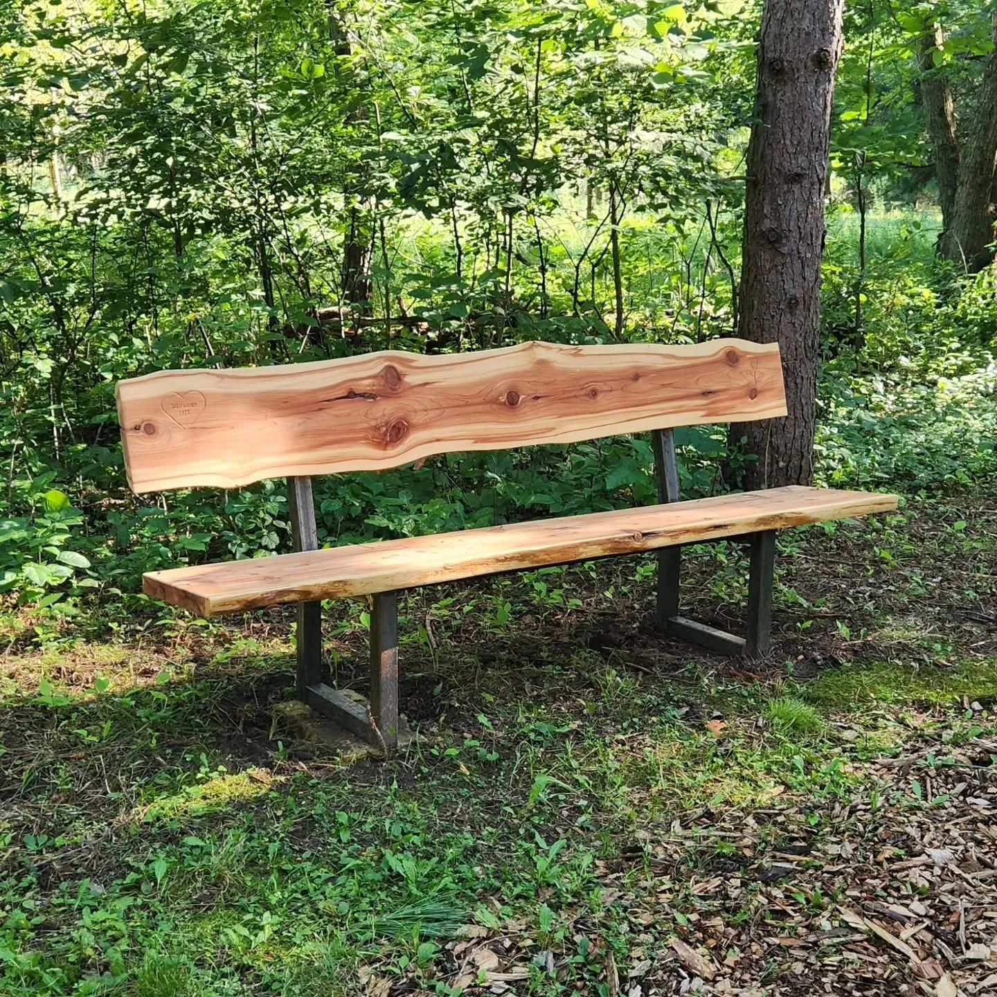 A live-edge cedar bench on steel legs set at the edge of a shaded woodland